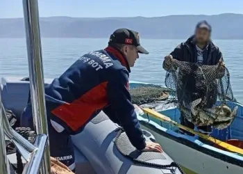 Bursa’da kaçak av operasyonu