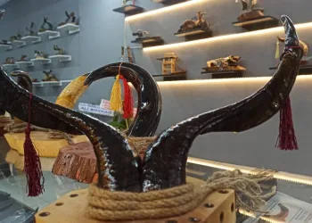 Boynuzlar süs eşyasına dönüşüyor