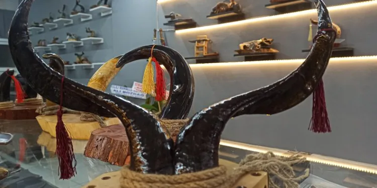 Boynuzlar süs eşyasına dönüşüyor