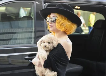Lady Gaga’nın köpeklerini kaçıran saldırgana hapis
