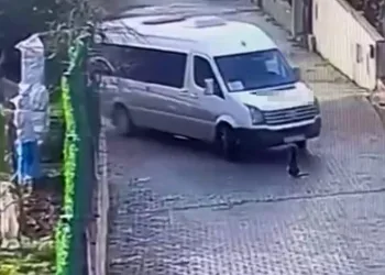 İstanbul’da köpeği ezen servis şoförü, yoluna devam etti