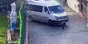 İstanbul’da köpeği ezen servis şoförü, yoluna devam etti