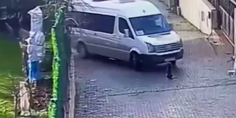 İstanbul’da köpeği ezen servis şoförü, yoluna devam etti
