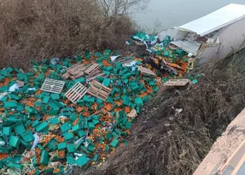Bursa’da meyve yüklü kamyon dereye uçtu: 1 ölü