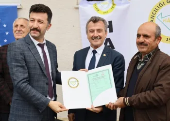 Buğdayın atasına sertifikalı üretim
