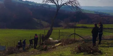 Tekirdağ’da köyü esrar tarlasına çeviren zanlı tutuklandı