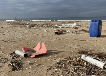 Mavi bayraklı sahil, çöp deryasına döndü