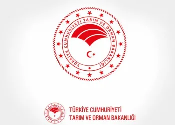 Bakanlık duyurdu: Bin 200 personel alınacak