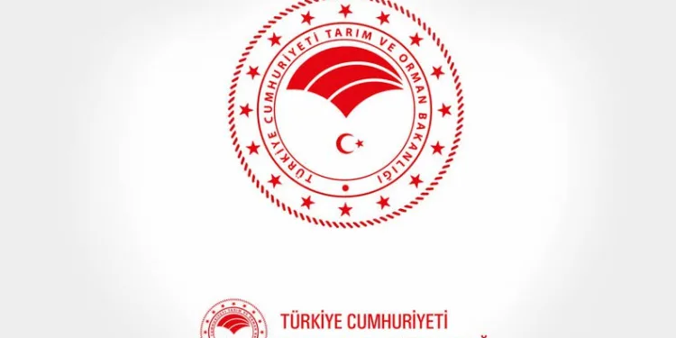 Bakanlık duyurdu: Bin 200 personel alınacak