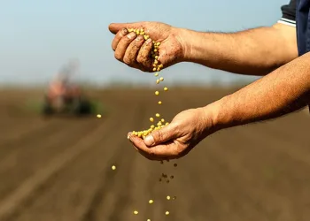 Ege’de tarım ihracatı artıyor