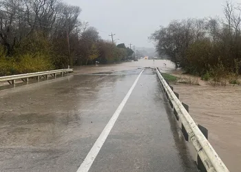 California’daki fırtınada 14 kişi öldü