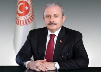 “Anayasa ile çözmek doğru bir yol olacaktır”