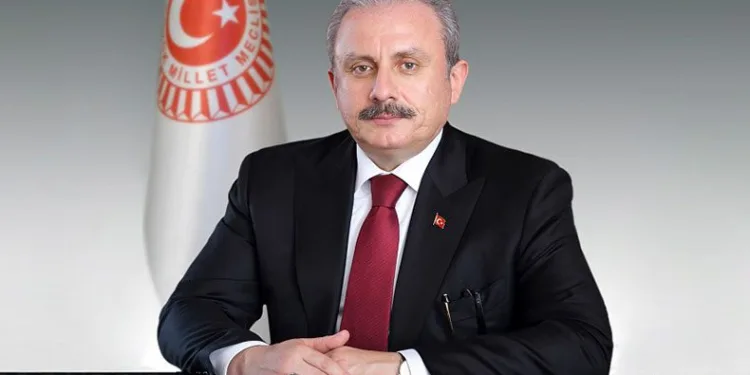 “Anayasa ile çözmek doğru bir yol olacaktır”