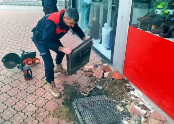 Mahsur kalan kediyi itfaiye kurtardı