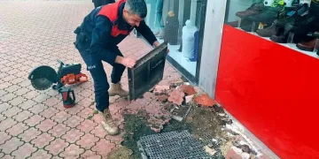 Mahsur kalan kediyi itfaiye kurtardı