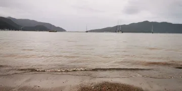 Marmaris’te denizin rengi kahverengi