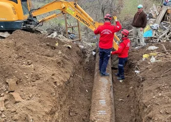 Balıkesir’de boruya sıkışan koyun kurtarıldı
