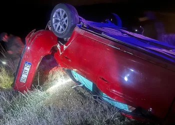 Tunceli’de trafik kazası