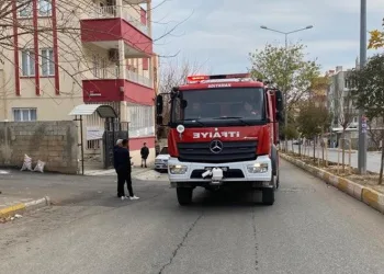 Odunlukta çıkan yangın korkuttu