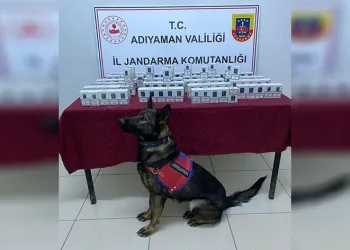 Jandarma kaçak sigara ele geçirdi