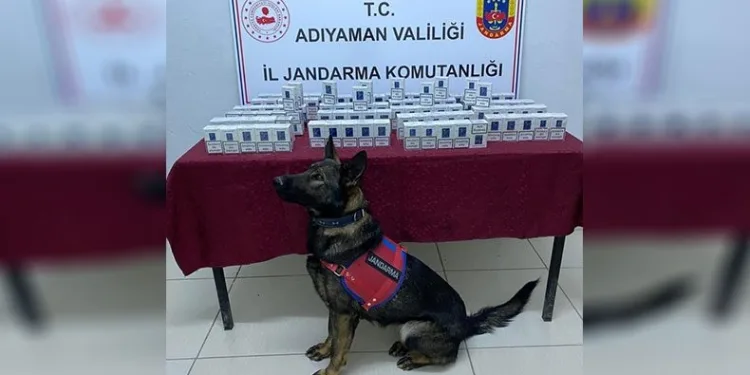 Jandarma kaçak sigara ele geçirdi