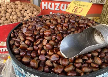 80 TL’lik kestaneye yoğun ilgi