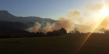 Osmaniye’de orman yangını