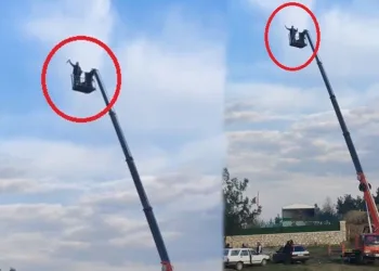 Alkollü maganda vincin tepesine çıkıp alkış istedi