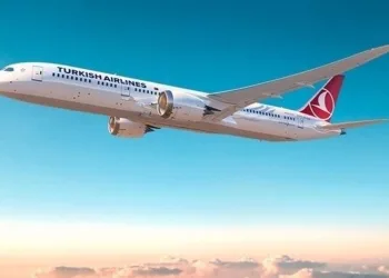Türk Hava Yolları seferleri iptal etti