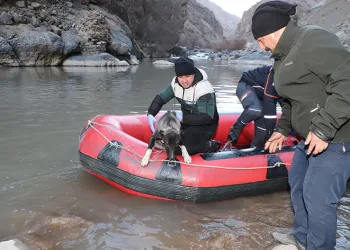 Hakkari’de rafting botuyla köpek kurtarma