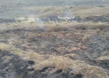 Bu toprak için için yanıyor