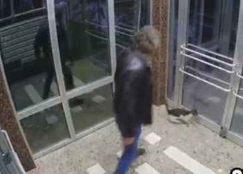 Binaya kapattığı kediyi tekmeleyerek dövdü