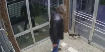 Binaya kapattığı kediyi tekmeleyerek dövdü