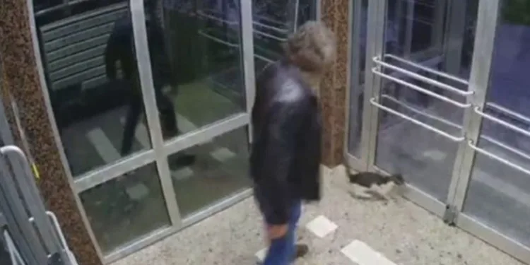 Binaya kapattığı kediyi tekmeleyerek dövdü