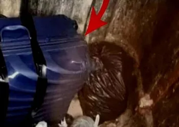 Çöpteki valizden ünlü isim çıktı