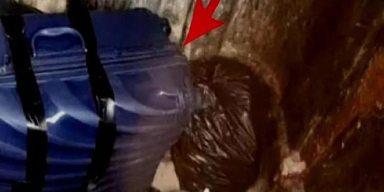 Çöpteki valizden ünlü isim çıktı