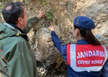 Jandarmadan “endemik tür” devriyesi