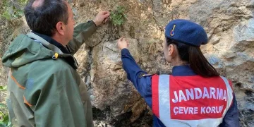 Jandarmadan “endemik tür” devriyesi