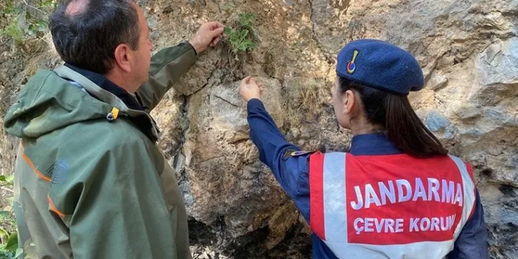 Jandarmadan “endemik tür” devriyesi