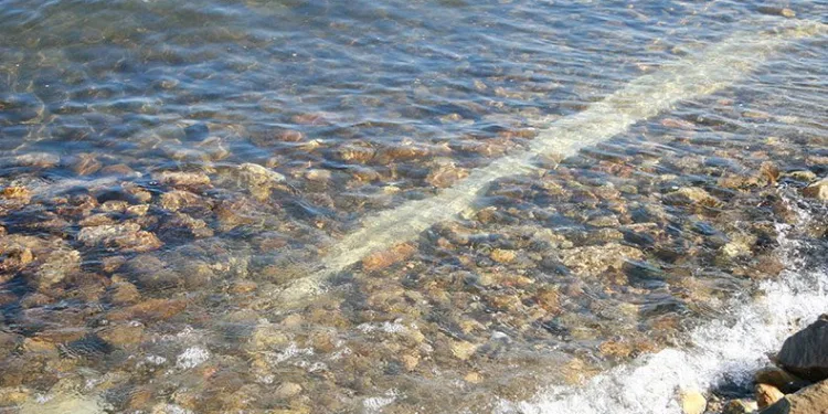 Gölyaka’da tarihi sütun bulundu