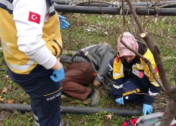 Bahçede çalışırken kalp krizi geçirdi