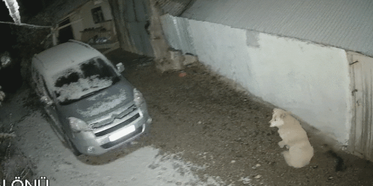Depreme uykusunda yakalandı