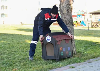Minik dostlarımıza yeni evler