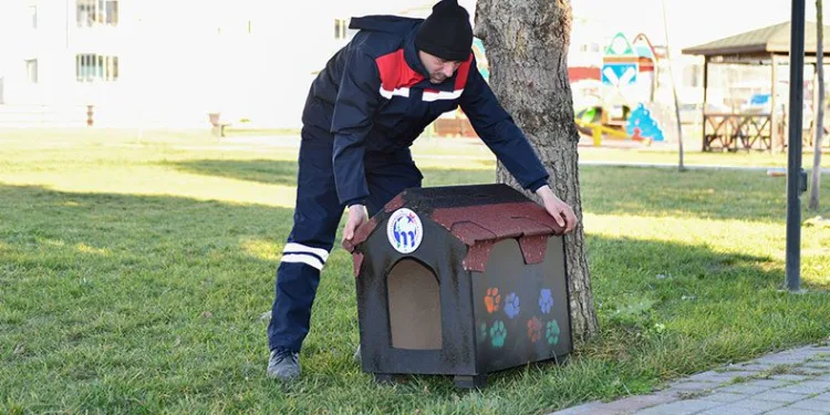 Minik dostlarımıza yeni evler
