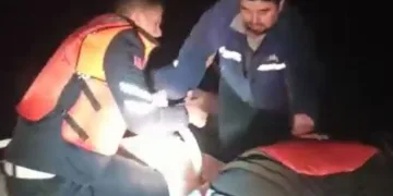 İznik Gölü’nde can pazarı