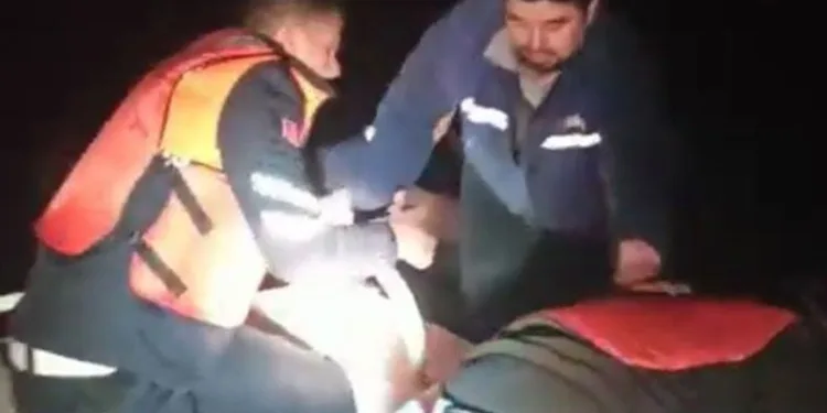 İznik Gölü’nde can pazarı