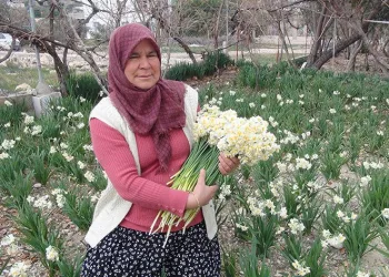 150 liradan 50 liraya düştü