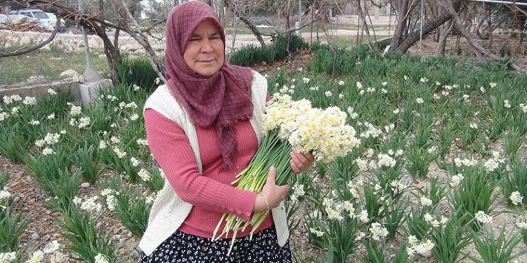150 liradan 50 liraya düştü
