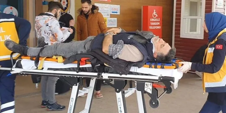 Fenalaşan sürücü ağaca çarptı