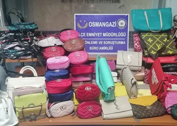 Bursa’da hırsızlık ve adam yaralama olaylarının faili yakalandı